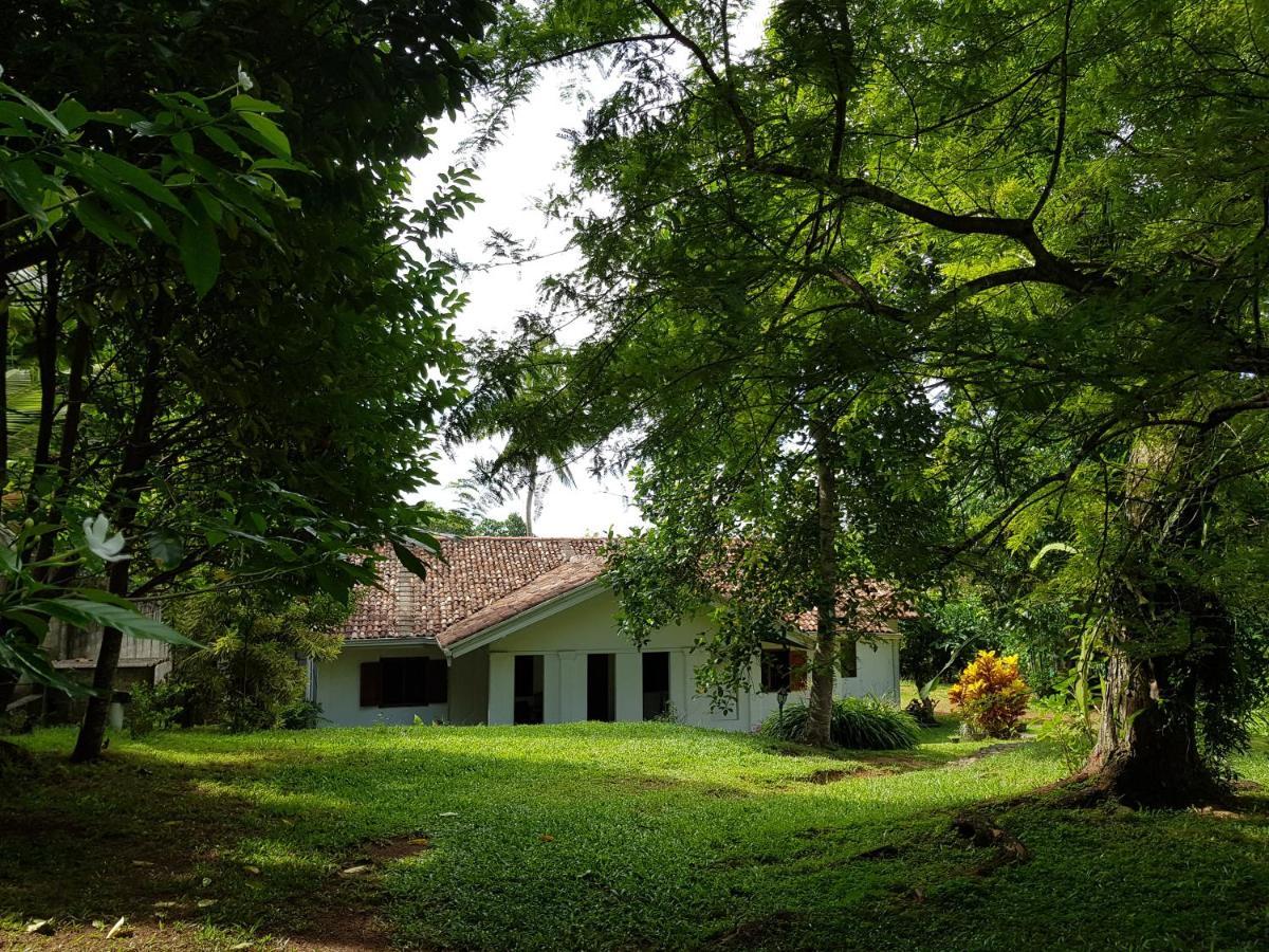 Chitra Ayurveda Hotel Bentota Kültér fotó