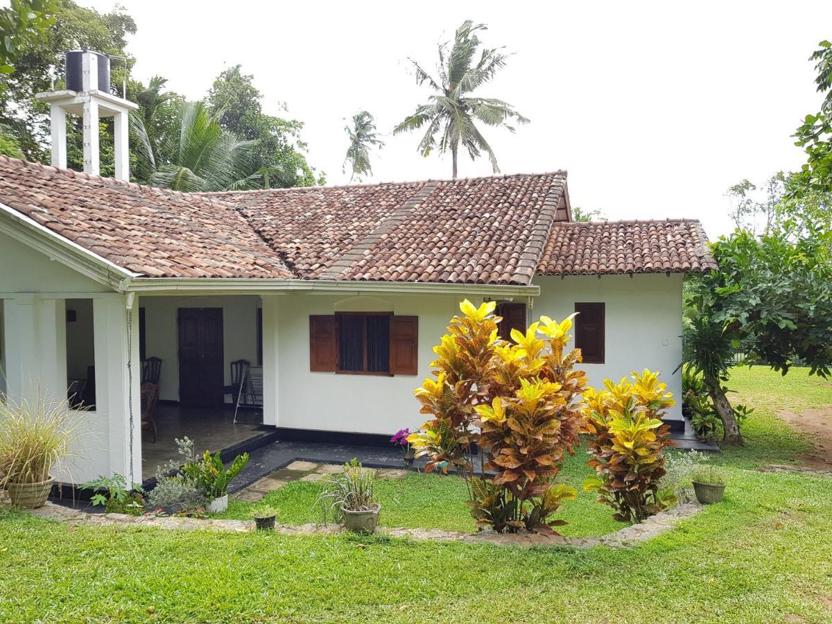 Chitra Ayurveda Hotel Bentota Kültér fotó