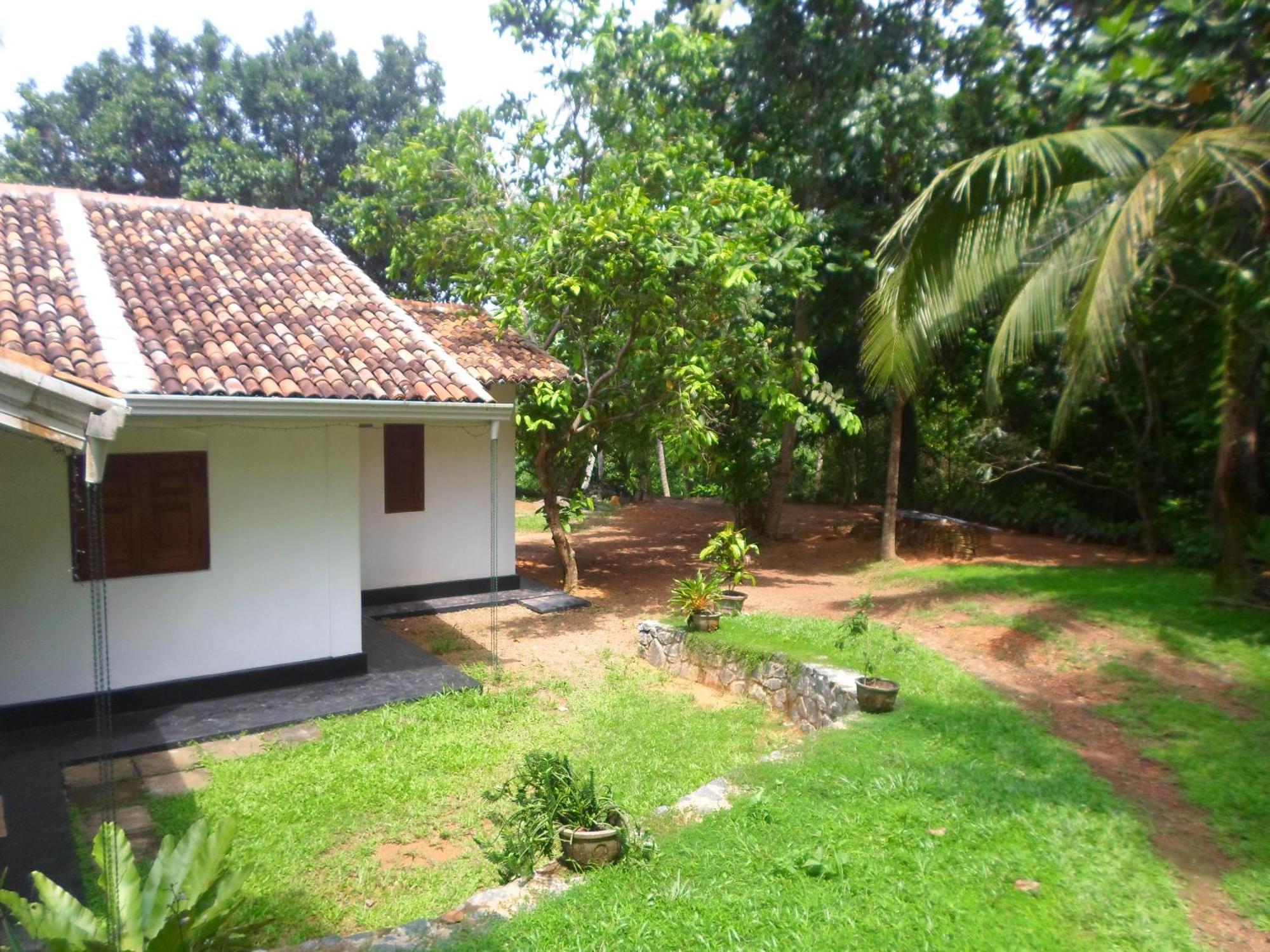 Chitra Ayurveda Hotel Bentota Szoba fotó